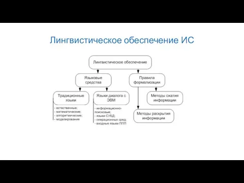 Лингвистическое обеспечение ИС