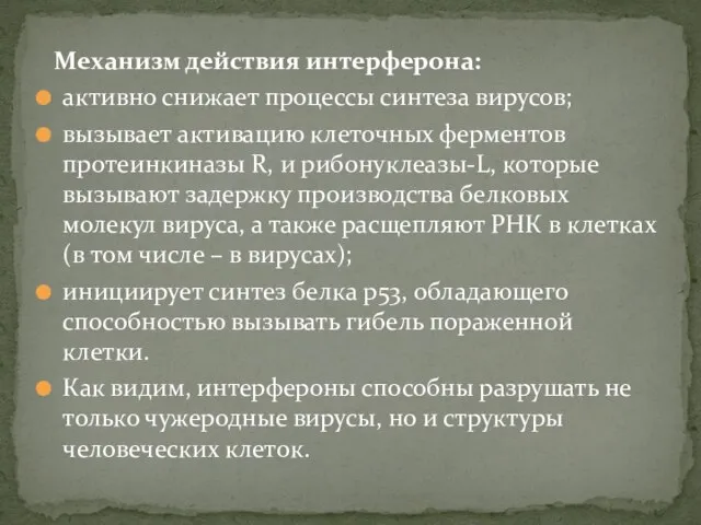 Механизм действия интерферона: активно снижает процессы синтеза вирусов; вызывает активацию клеточных