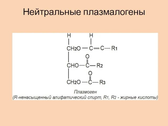 Нейтральные плазмалогены