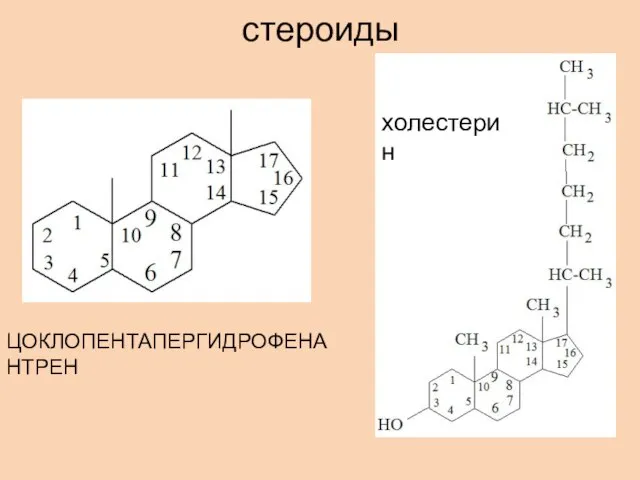 стероиды ЦОКЛОПЕНТАПЕРГИДРОФЕНАНТРЕН холестерин