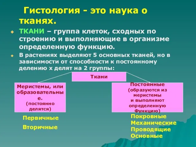 Гистология - это наука о тканях. ТКАНИ – группа клеток, сходных