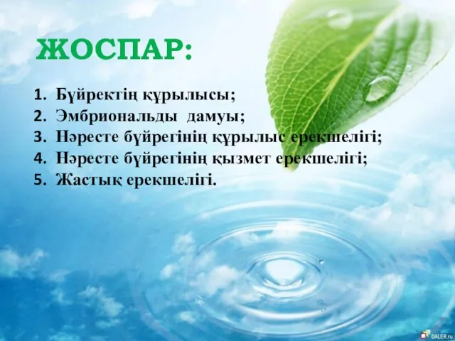 ЖОСПАР: Бүйректің құрылысы; Эмбриональды дамуы; Нәресте бүйрегінің құрылыс ерекшелігі; Нәресте бүйрегінің қызмет ерекшелігі; Жастық ерекшелігі.