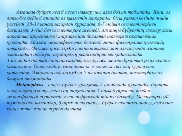 Алғашқы бүйрек негізі несеп шығарушы ағза болып табылады. Яғни, ол 4тен-8ге