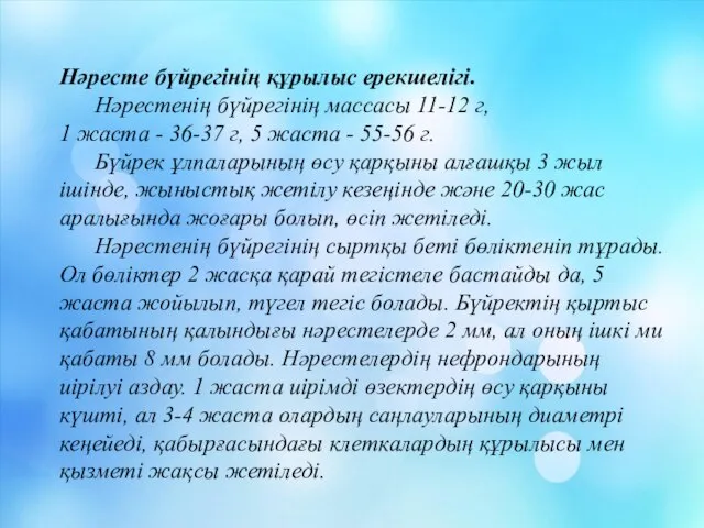 Нәресте бүйрегінің құрылыс ерекшелігі. Нәрестенің бүйрегінің массасы 11-12 г, 1 жаста