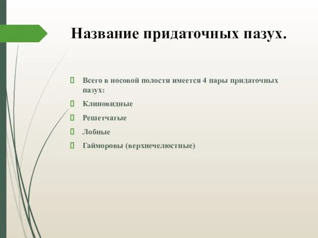 Название придаточных пазух. Всего в носовой полости имеется 4 пары придаточных