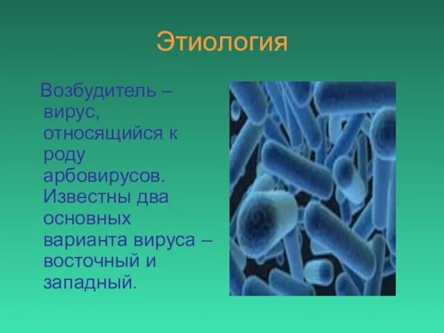 Этиология Возбудитель – вирус, относящийся к роду арбовирусов. Известны два основных