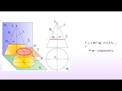 T ⊥ i, m ∩ gn, n=1,2,3,…,∞ ⇒ m – окружность