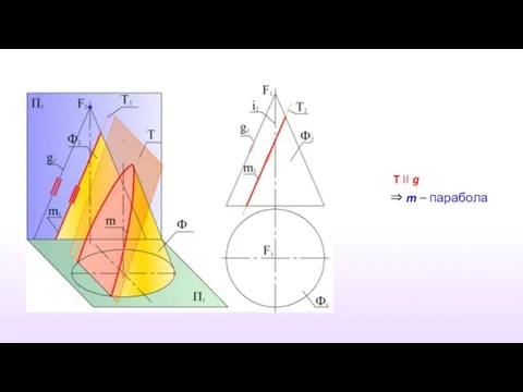 T II g ⇒ m – парабола