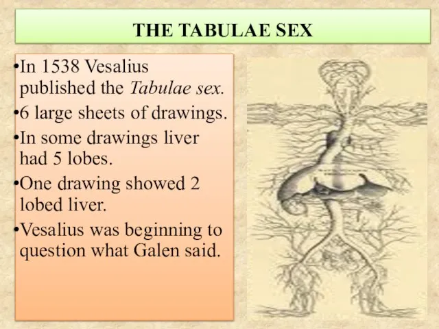 THE TABULAE SEX In 1538 Vesalius published the Tabulae sex. 6