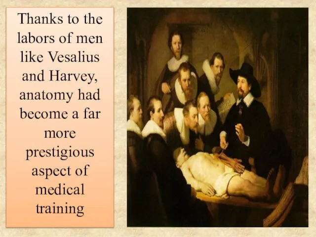 Thanks to the labors of men like Vesalius and Harvey, anatomy