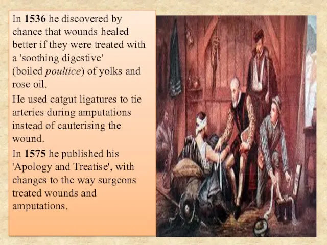In 1536 he discovered by chance that wounds healed better if