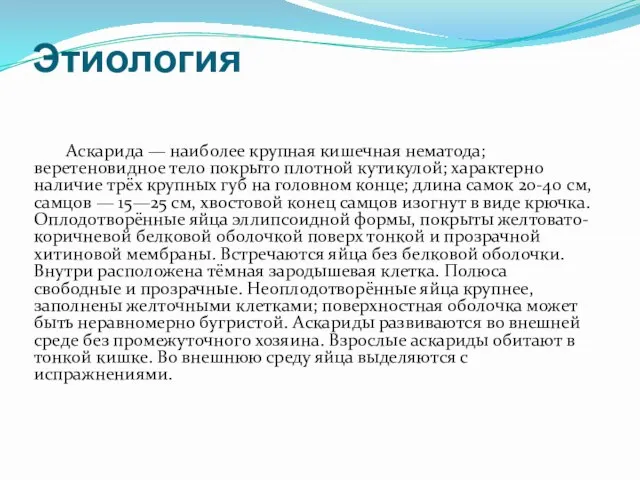 Этиология Аскарида — наиболее крупная кишечная нематода; веретеновидное тело покрыто плотной