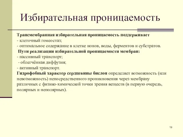 Избирательная проницаемость Трансмембранная избирательная проницаемость поддерживает - клеточный гомеостаз; - оптимальное