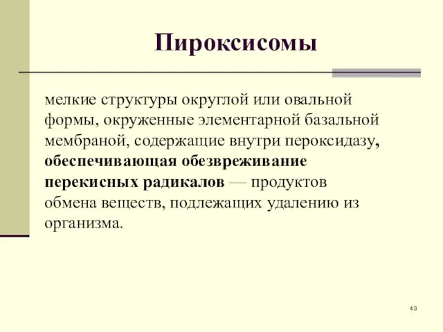 Пироксисомы мелкие структуры округлой или овальной формы, окруженные элементарной базальной мембраной,