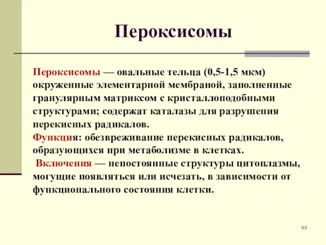 Пероксисомы Пероксисомы — овальные тельца (0,5-1,5 мкм) окруженные элементарной мембраной, заполненные