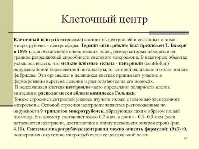 Клеточный центр Клеточный центр (центросома) состоит из центриолей и связанных с