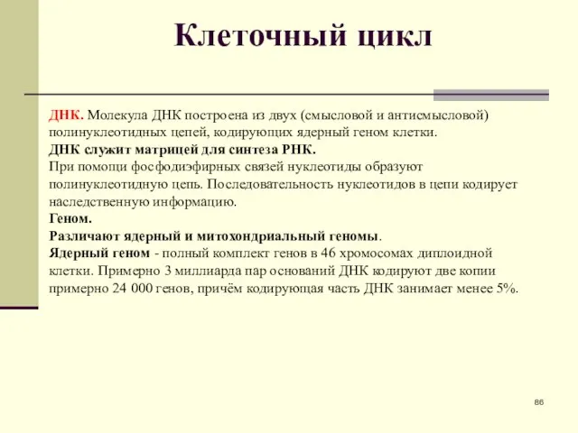 Клеточный цикл ДНК. Молекула ДНК построена из двух (смысловой и антисмысловой)