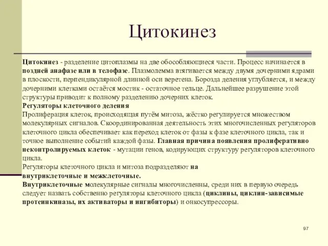 Цитокинез Цитокинез - разделение цитоплазмы на две обособляющиеся части. Процесс начинается