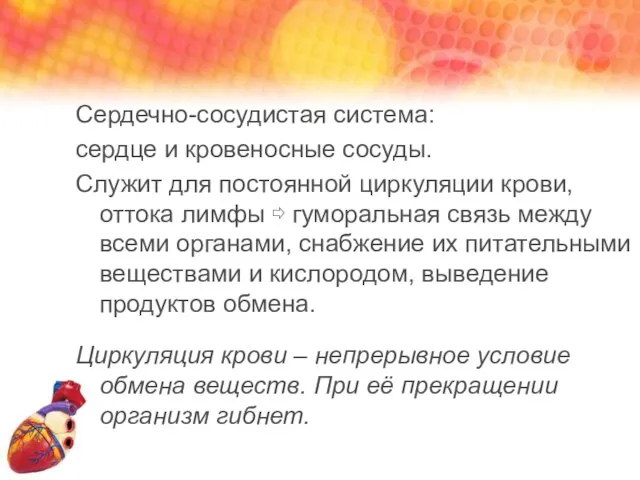 Сердечно-сосудистая система: сердце и кровеносные сосуды. Служит для постоянной циркуляции крови,