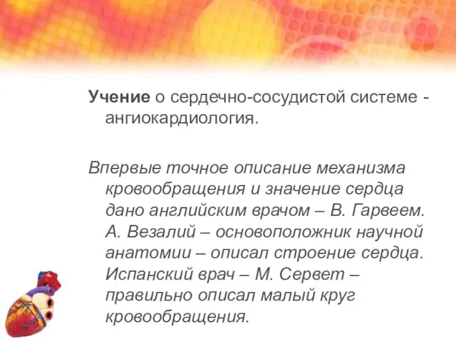 Учение о сердечно-сосудистой системе - ангиокардиология. Впервые точное описание механизма кровообращения