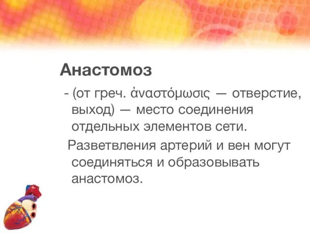 Анастомоз - (от греч. ἀναστόμωσις — отверстие, выход) — место соединения