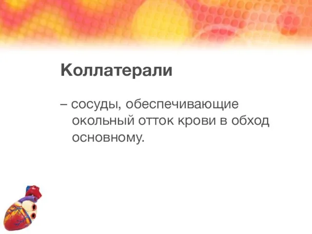 Коллатерали – сосуды, обеспечивающие окольный отток крови в обход основному.