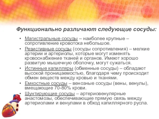 Функционально различают следующие сосуды: Магистральные сосуды – наиболее крупные – сопротивление