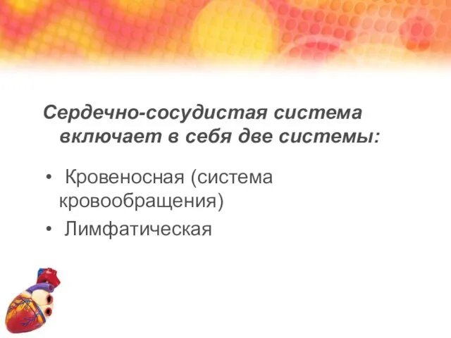 Сердечно-сосудистая система включает в себя две системы: Кровеносная (система кровообращения) Лимфатическая