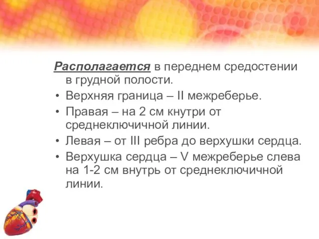 Располагается в переднем средостении в грудной полости. Верхняя граница – II