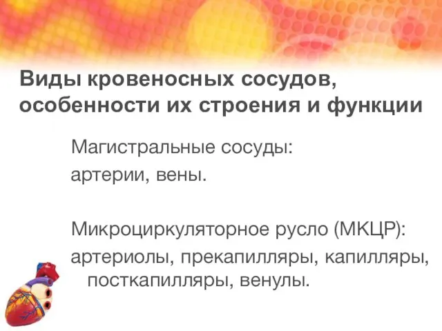 Виды кровеносных сосудов, особенности их строения и функции Магистральные сосуды: артерии,