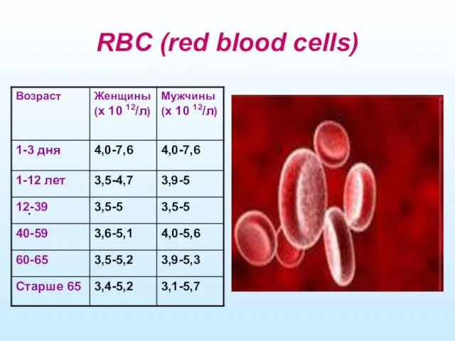 RBC (red blood cells) .