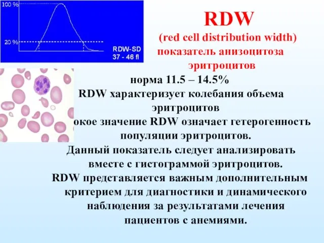 RDW (red cell distribution width) показатель анизоцитоза эритроцитов норма 11.5 –