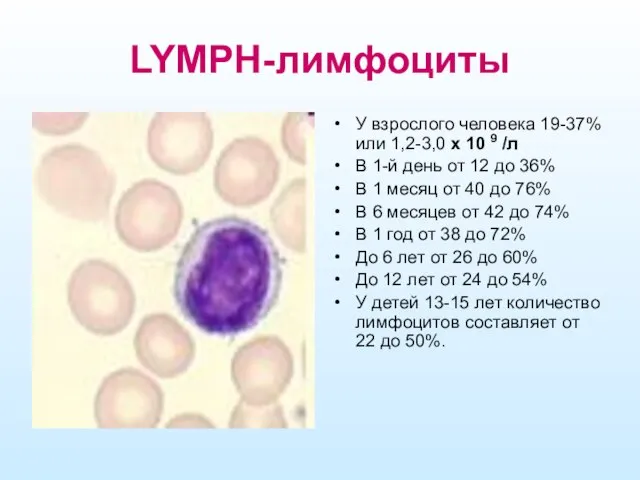 LYMPH-лимфоциты У взрослого человека 19-37% или 1,2-3,0 х 10 9 /л