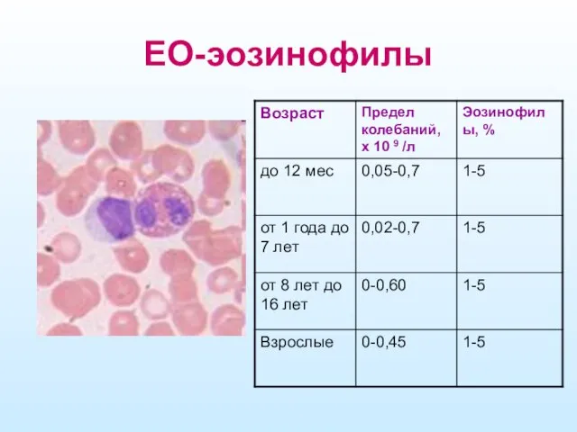 EO-эозинофилы