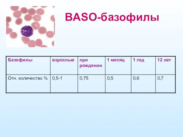 BASO-базофилы