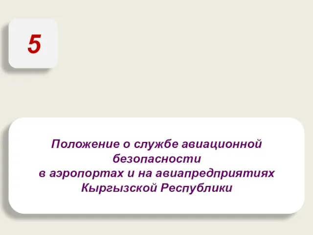 Положение о службе авиационной безопасности в аэропортах и на авиапредприятиях Кыргызской Республики 5