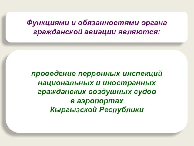 Функциями и обязанностями органа гражданской авиации являются: проведение перронных инспекций национальных