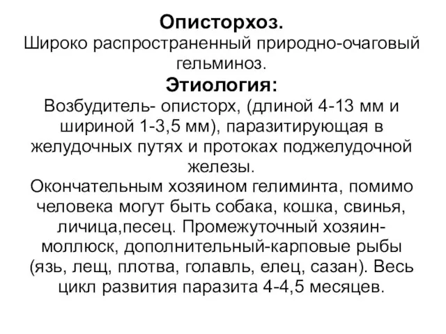 Описторхоз. Широко распространенный природно-очаговый гельминоз. Этиология: Возбудитель- описторх, (длиной 4-13 мм