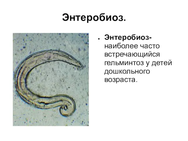 Энтеробиоз. Энтеробиоз-наиболее часто встречающийся гельминтоз у детей дошкольного возраста.