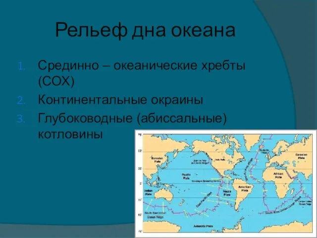 Рельеф дна океана Срединно – океанические хребты (СОХ) Континентальные окраины Глубоководные (абиссальные) котловины