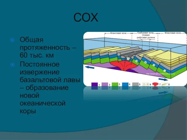 СОХ Общая протяженность – 60 тыс. км Постоянное извержение базальтовой лавы – образование новой океанической коры