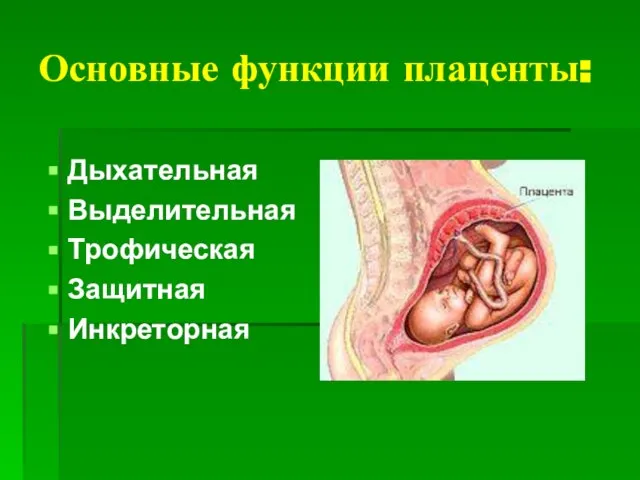 Основные функции плаценты: Дыхательная Выделительная Трофическая Защитная Инкреторная