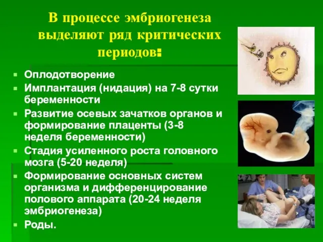 В процессе эмбриогенеза выделяют ряд критических периодов: Оплодотворение Имплантация (нидация) на