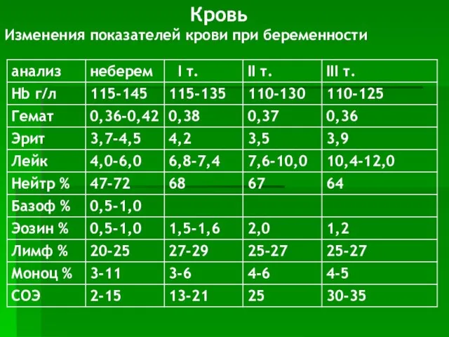 Кровь Изменения показателей крови при беременности