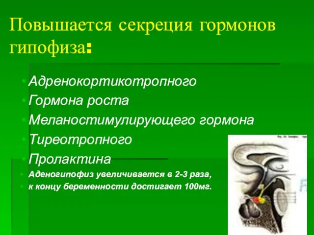 Повышается секреция гормонов гипофиза: Адренокортикотропного Гормона роста Меланостимулирующего гормона Тиреотропного Пролактина