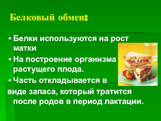 Белковый обмен: Белки используются на рост матки На построение организма растущего