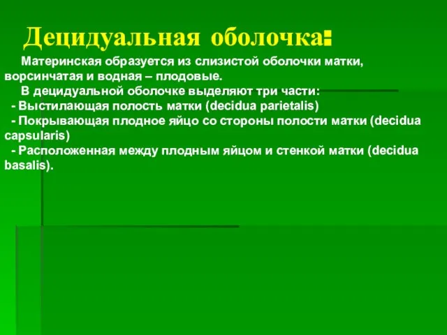 Децидуальная оболочка: Материнская образуется из слизистой оболочки матки, ворсинчатая и водная