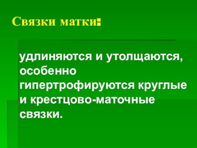 Связки матки: удлиняются и утолщаются, особенно гипертрофируются круглые и крестцово-маточные связки.