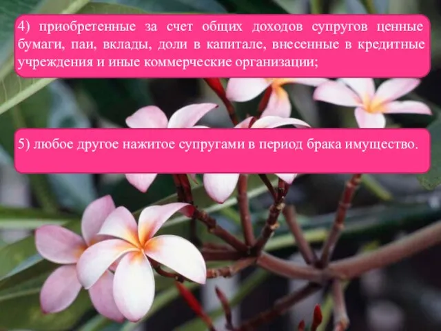 4) приобретенные за счет общих доходов супругов ценные бумаги, паи, вклады,