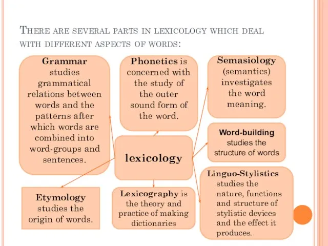 There are several parts in lexicology which deal with different aspects